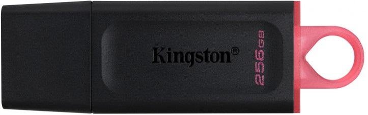 Флешка USB Kingston DataTraveler Exodia 256GB Black/Pink (DTX/256GB)