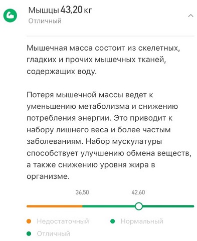 Весы Xiaomi Smart Scale 2